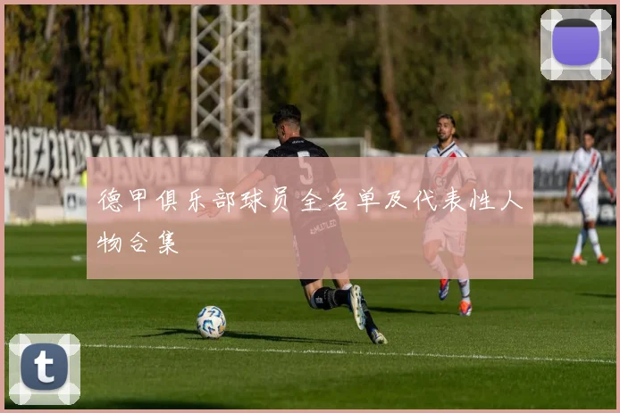 德甲俱乐部球员全名单及代表性人物合集