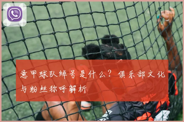 意甲球队绰号是什么？俱乐部文化与粉丝称呼解析