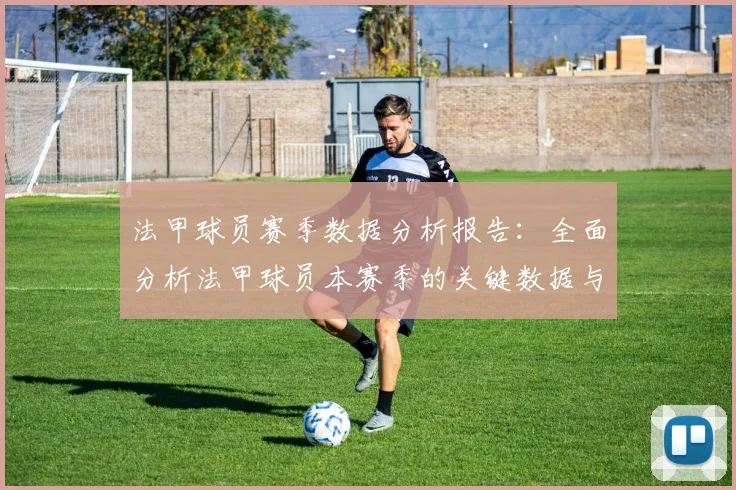 法甲球员赛季数据分析报告：全面分析法甲球员本赛季的关键数据与表现