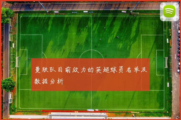 曼联队目前效力的英超球员名单及数据分析