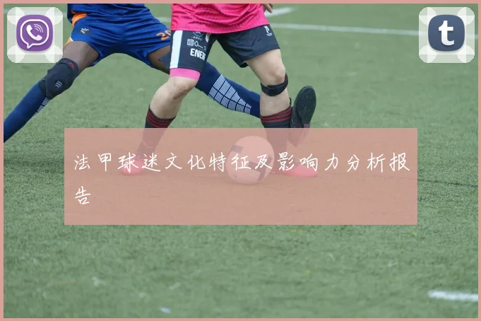 法甲球迷文化特征及影响力分析报告